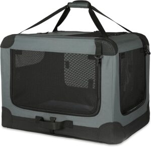 Amazon Basics Foldable Soft Pet Travel Carrier